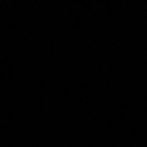 Meet your Posher, Angelica